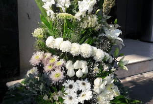 	funeraria guadalajara