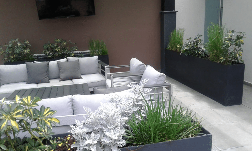 funerarias latinoamericana