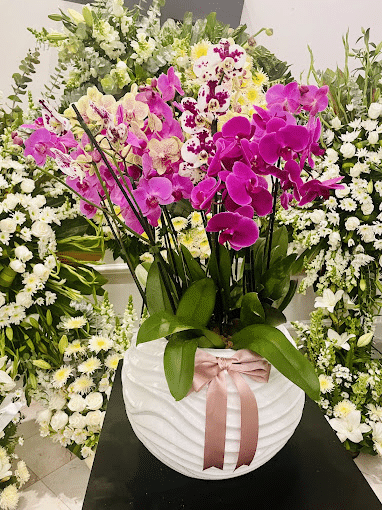 funeraria garcia lopez casa prim