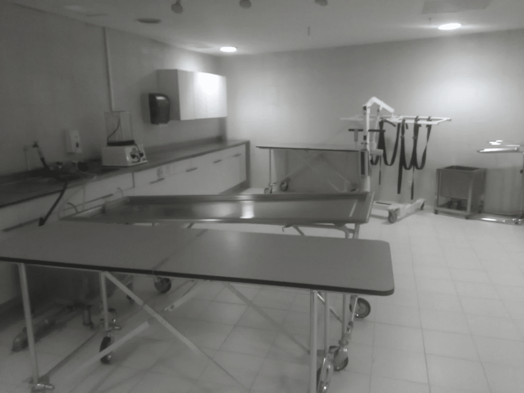 	serviciio funerarios lomas photos