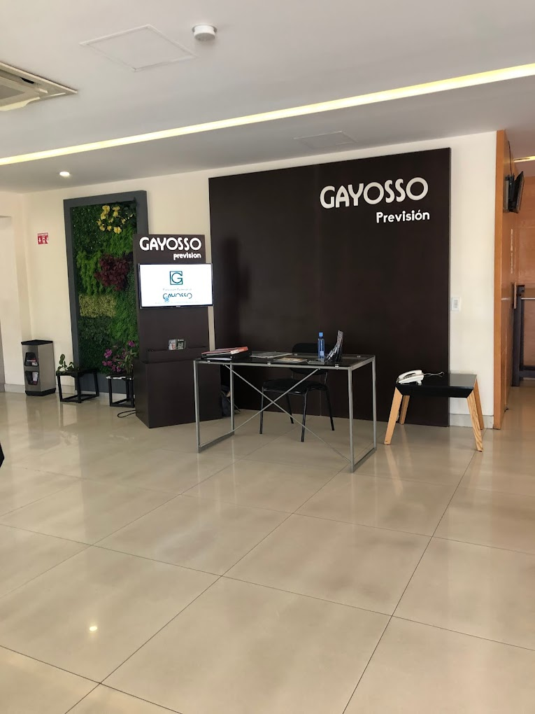 gayosso av mexico guadalajara