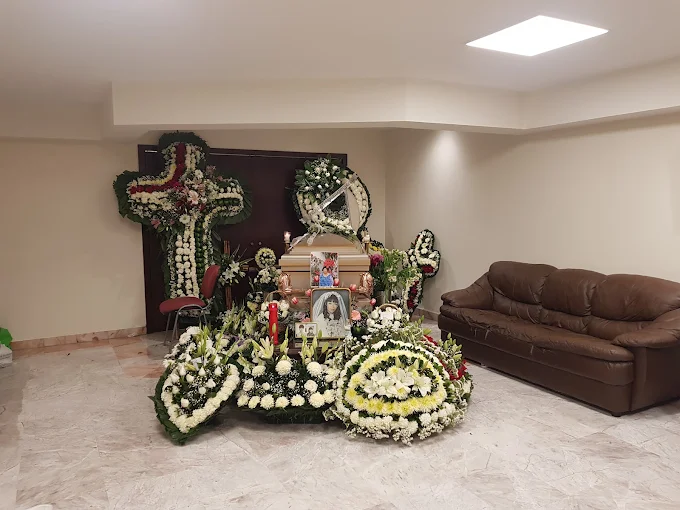 	colima 254 roma norte